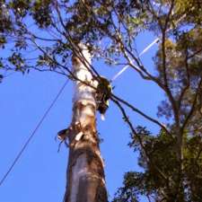 Kingdoms Tree Care | 15 Alkrington Ave, Fishing Point NSW 2283, Australia