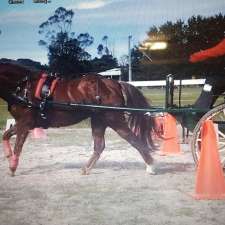 Gippsland Pleasure Harness Society Inc. | Taplins Rd, Catani VIC 3981, Australia