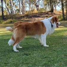 Mona Cottage | Establishment | 14-18 Mona Rd, Woongarrah NSW 2259, Australia