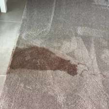 Henry Carpet Cleaning Forest Hill | 382 Springvale Rd, Forest Hill VIC 3131, Australia