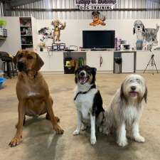 Leaps & Bounds Dog Training | 46 Masons Rd, Rosevears TAS 7277, Australia