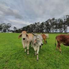 Hare Krishna Valley | 1265 Winchelsea-Deans Marsh Rd, Bambra VIC 3241, Australia