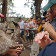 Shoalhaven Zoo And Adventure World | 23 Rock Hill Rd, North Nowra NSW 2541, Australia