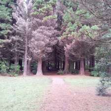 Beauchamp Falls Reserve Camp | Flannagan Rd, Beech Forest VIC 3237, Australia