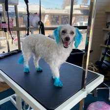 Eclectic Pet Grooming Services | 125 Wagonga St, Narooma NSW 2546, Australia