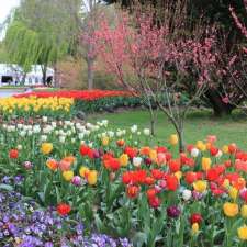 Tulip Top Gardens | 20 Old Federal Highway Sutton, Bywong NSW 2621, Australia