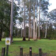 Dyers Picnic Ground | Tonimbuk VIC 3815, Australia