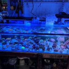 Rene's Marine & Tropical Aquariums | 1/6-8 Rene St, Noosaville QLD 4566, Australia