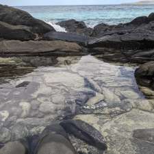 Antechamber Bay North Campground | Lashmar Rd, Antechamber Bay SA 5222, Australia