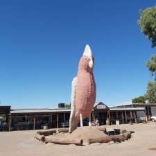 The Big Galah | Eyre Hwy, Kimba SA 5641, Australia