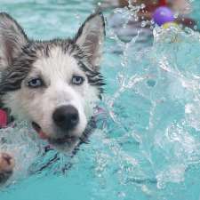 K9 Swim Hydrotherapy & Wellness Centre | Hydrotherapy Centre, 853 Kurmond Rd, North Richmond NSW 2754, Australia