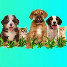 Playford Veterinary Clinic | 236 Curtis Rd, Munno Para SA 5115, Australia