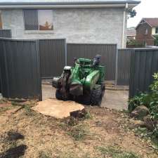 Arbor Grind Tree and Stump Removal | 16 Thornbill Cres, Glenmore Park NSW 2745, Australia