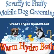 Scruffy to Fluffy Mobile Dog Grooming | 45A Mopoke Cl, Longreach NSW 2540, Australia