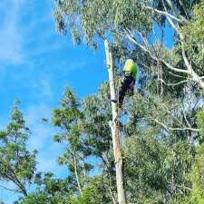 Sunny Coast Tree Removal | 60 Dean Rd, Verrierdale QLD 4562, Australia