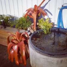 Central Queensland Hydroponics and Specialty Gardening Supplies | 1/6 Dalrymple Dr, Toolooa QLD 4680, Australia