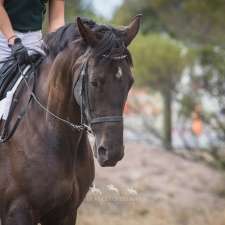 Journey Equestrian Photography | Glenmore Rd, Rowsley VIC 3340, Australia