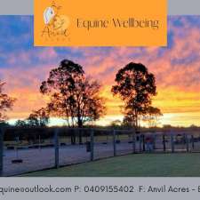 Anvil Acres - Equine Wellbeing | 2013 New England Hwy, Greta NSW 2334, Australia