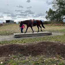 Tindara Flats Horsemanship | 179 Louisa St, Bracknell TAS 7302, Australia