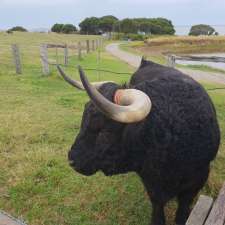 Phillip Island Parkrun | Heritage Farm, Churchill Island VIC 3925, Australia