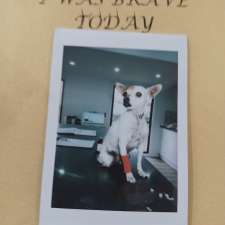 Kidman Way Veterinary Surgery | Establishment | 19 Sturt St, Bourke NSW 2840, Australia