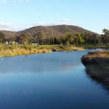 Dickson Wetland | Hawdon and, Dutton St, Dickson ACT 2602, Australia