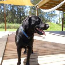 Calm Dog Boarding Kennels | 545 Fullerton Cove Rd, Fullerton Cove NSW 2318, Australia