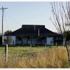 King Creek Limousins | 1034 Piallaway Rd, Currabubula NSW 2342, Australia