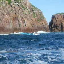 Dodroyb Paddlers | Rodd Point NSW 2046, Australia