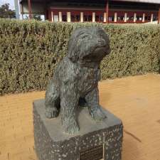 Bob the Railway Dog Statue | Main St, Peterborough SA 5422, Australia