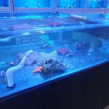 AquaZoo Aquarium | 1/85 Lasso Rd, Gregory Hills NSW 2557, Australia