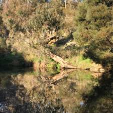 Golden Gullies Walk | Vaughan VIC 3451, Australia