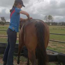 AB Physiotherapy Services for horses and riders | 1707 Doodlakine-Kununoppin Rd, Doodlakine WA 6411, Australia