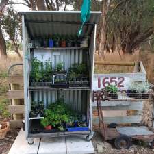 Dixie Herbs and Plants | 1652 Cobden-Terang Rd, Dixie VIC 3265, Australia