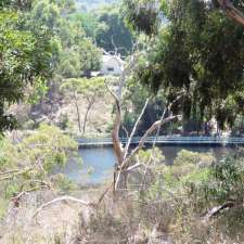 Warrawong Wildlife Sanctuary | 47 Stock Rd, Mylor SA 5153, Australia