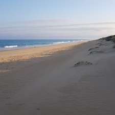 Shoreline Drive Campground | Shoreline Dr, Flamingo Beach VIC 3851, Australia