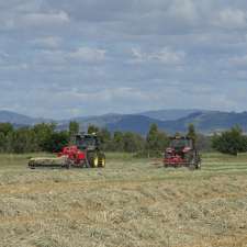 Valley Hay Supplies | 480 Gatton Esk Rd, Lake Clarendon QLD 4343, Australia