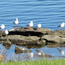 Kanahooka Park | Kanahooka NSW 2530, Australia