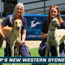 GAP Pet Boarding & Hydrotherapy Centre | 388 The Driftway, Londonderry NSW 2753, Australia