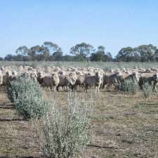 Grazing Management Systems PTY Ltd. | 690 Dandaloo St, Narromine NSW 2821, Australia