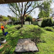 CBR Trees | Bingley Cres, Fraser ACT 2615, Australia