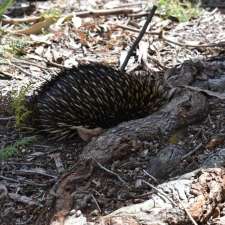 Happy Go Lucky Hideout | 19 Happy Go Lucky Rd, Walhalla VIC 3825, Australia