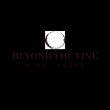 Beyond The Vine Wine Tours | 12 Brickwork Pl, Walkley Heights SA 5098, Australia