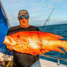 FNQ Fresh Fish | 80 Munro St, Babinda QLD 4861, Australia