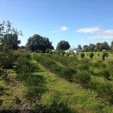 Sacred Grove | 32 Milang Rd, Belvidere SA 5255, Australia