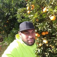 SS Citrus Supply | 366 Citrus Dr, Dareton NSW 2717, Australia