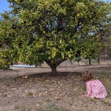 Willowbank Bed and Breakfast | 78 Glenview Rd, Yarra Glen VIC 3775, Australia