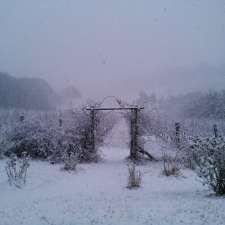 Habitat Vineyard | Mt Canobolas NSW 2800, Australia