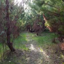 The Avenues Picnic Area | 94 Black Nursery Rd, Kuitpo SA 5201, Australia