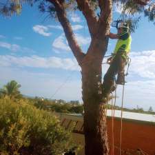 TLC Tree Service. | 50 South St, Tuncurry NSW 2428, Australia